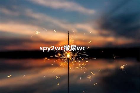 spy wc|Spy2wc.